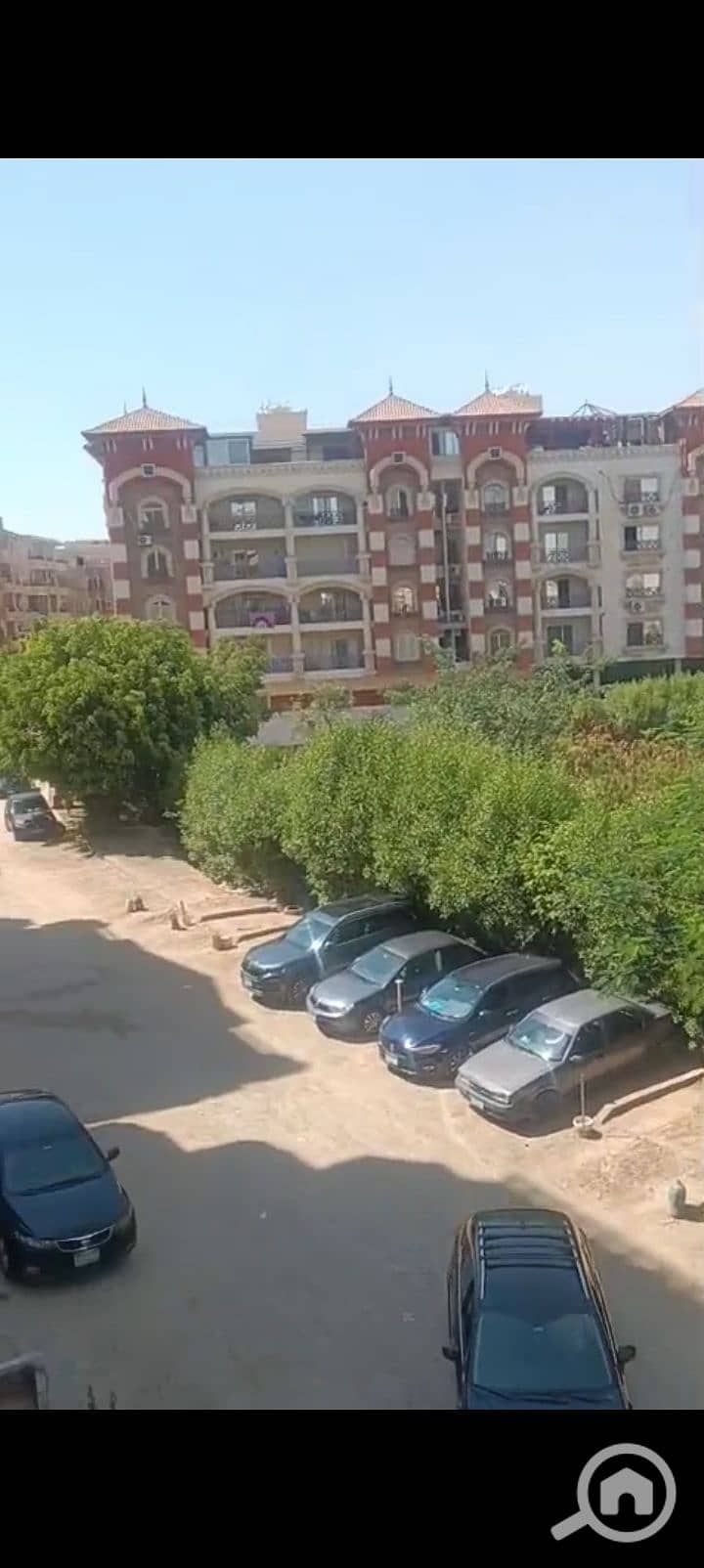 3 1000390495. jpg