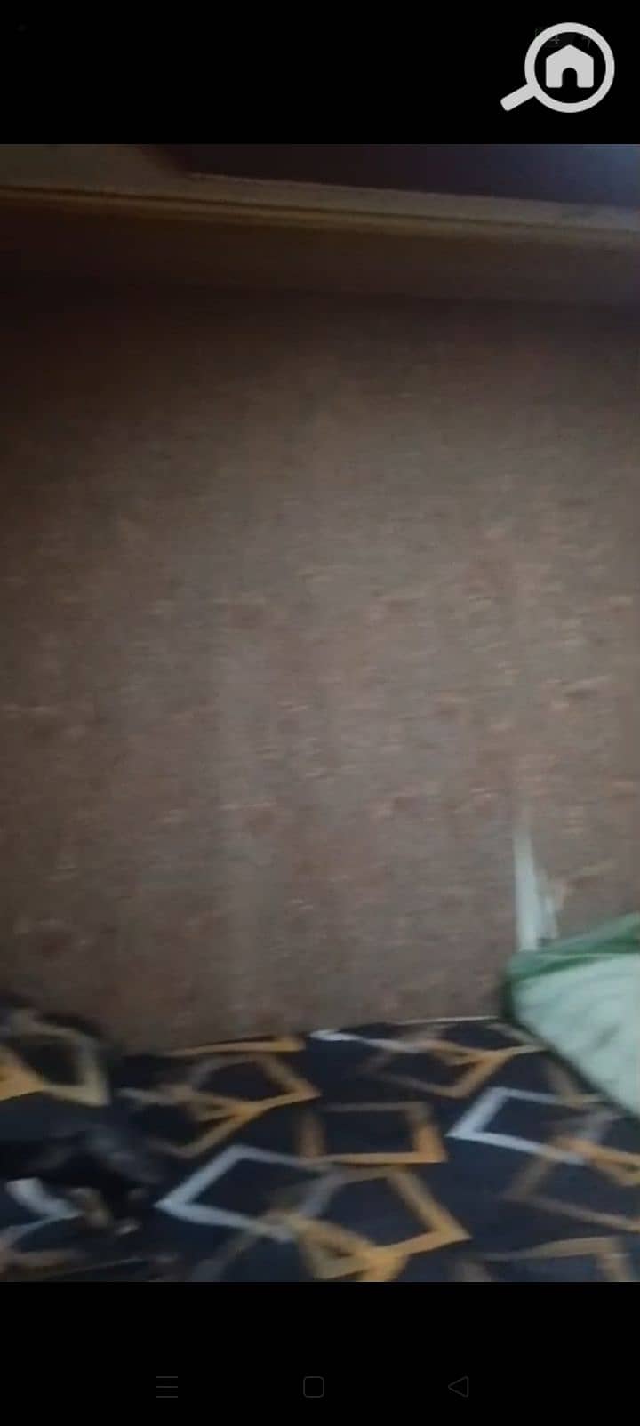 10 1000390481. jpg