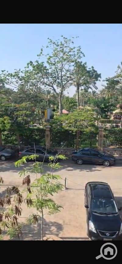 3 Bedroom Flat for Sale in New Cairo, Cairo - 1000462667. jpg 3 Bedroom Flat for Sale in New Cairo, Cairo - 1000462667. jpg