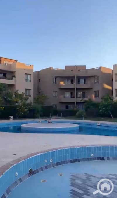 شقة 4 غرف نوم للبيع في شرم الشيخ، سيناء - IMG_2204. jpg شقة 4 غرف نوم للبيع في شرم الشيخ، سيناء - IMG_2204. jpg