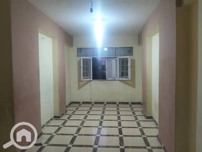 شقة 2 غرفة نوم للايجار في عجمي، الإسكندرية - 1000940295. jpg شقة 2 غرفة نوم للايجار في عجمي، الإسكندرية - 1000940295. jpg
