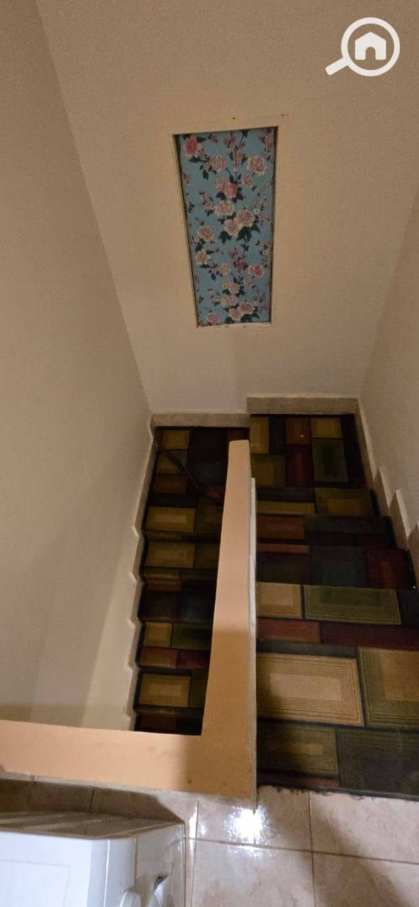 9 391692. jpg
