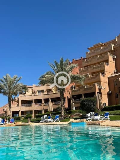 شاليه 2 غرفة نوم للبيع في العين السخنة، السويس - 717516051_1040930642207297_5813570097192617544_n. jpg شاليه 2 غرفة نوم للبيع في العين السخنة، السويس - 717516051_1040930642207297_5813570097192617544_n. jpg
