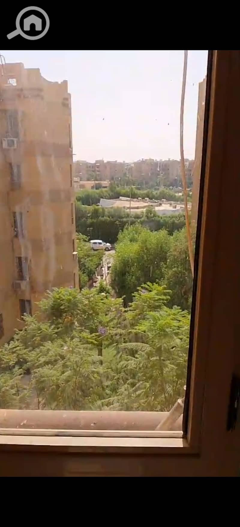4 391713. jpg