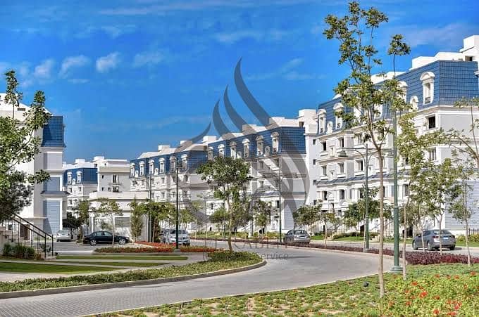 6 5. jpg
