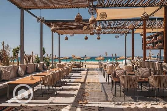 7 images (1). jpg