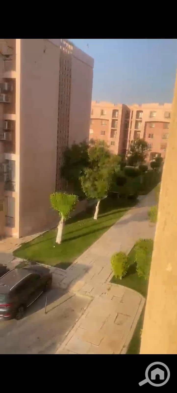 8 1000838941. jpg
