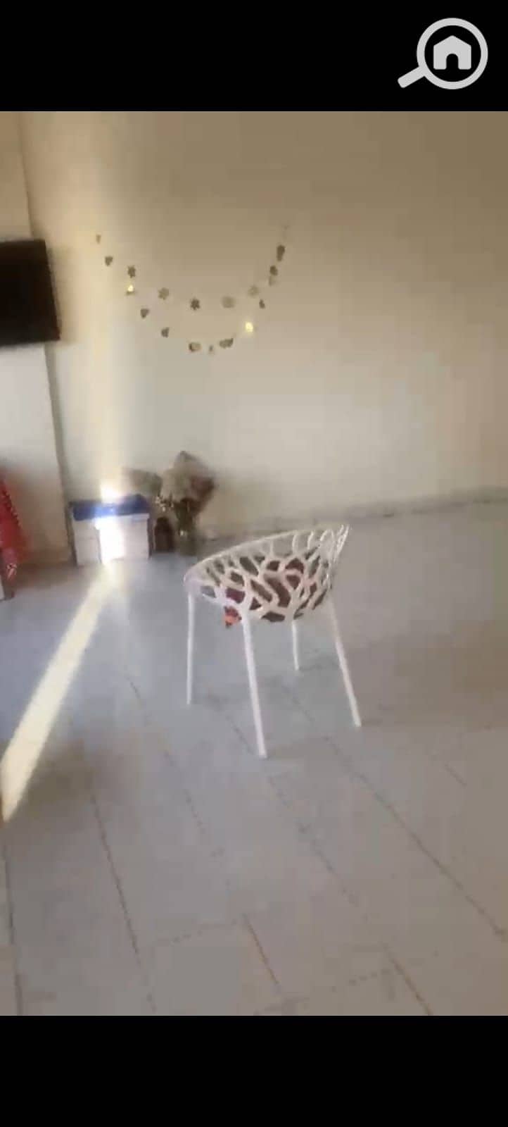 10 1000838942. jpg
