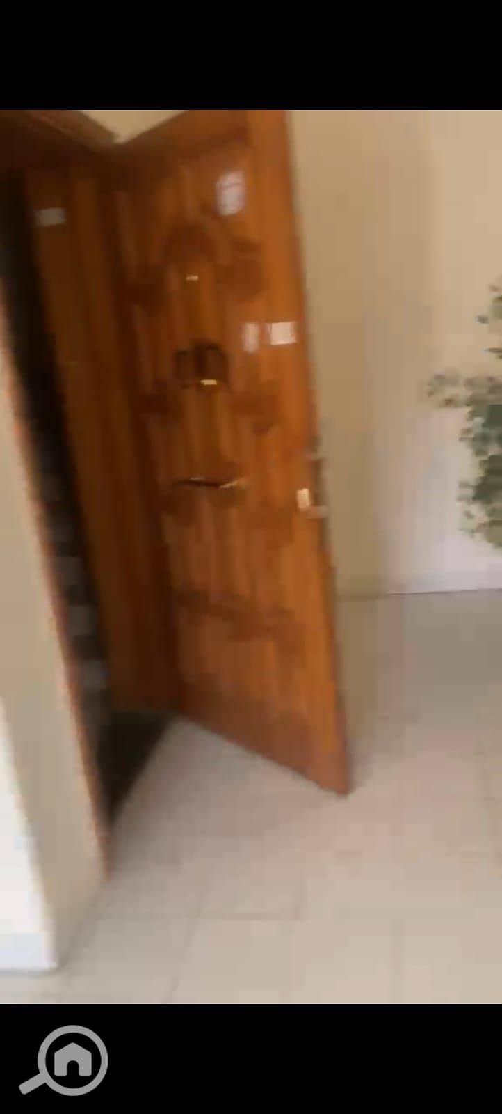 12 1000838945. jpg