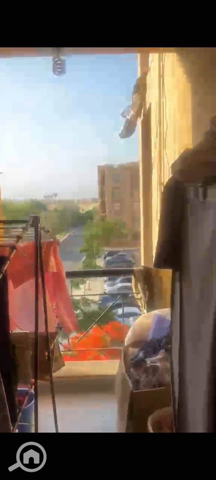 30 1000838963. jpg