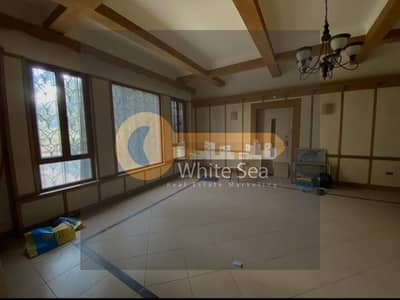 مکتب  للايجار في سيدي جابر، الإسكندرية - 1000839519. jpg