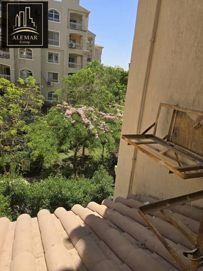 3 Bedroom Flat for Rent in Madinaty, Cairo - 1000732269. jpg 3 Bedroom Flat for Rent in Madinaty, Cairo - 1000732269. jpg