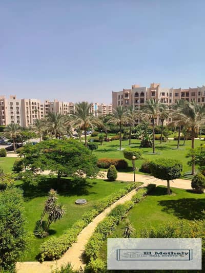 فلیٹ 2 غرفة نوم للبيع في القاهرة الجديدة، القاهرة - WhatsApp Image 2026-07-20 at 3.43. 34 PM. jpeg فلیٹ 2 غرفة نوم للبيع في القاهرة الجديدة، القاهرة - WhatsApp Image 2026-07-20 at 3.43. 34 PM. jpeg