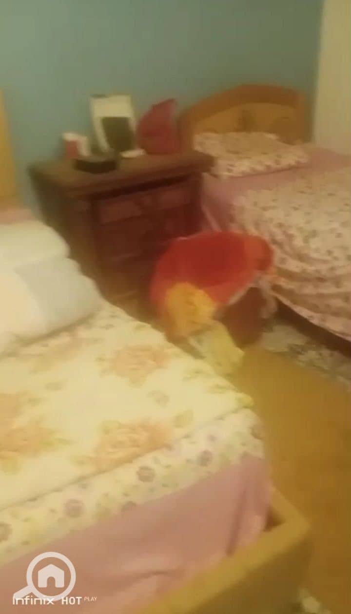 6 5976839196372569648. jpg