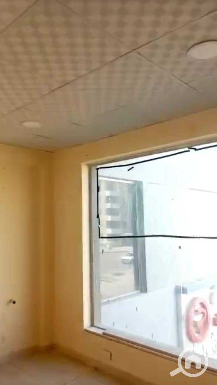 6 5976839196372569663. jpg