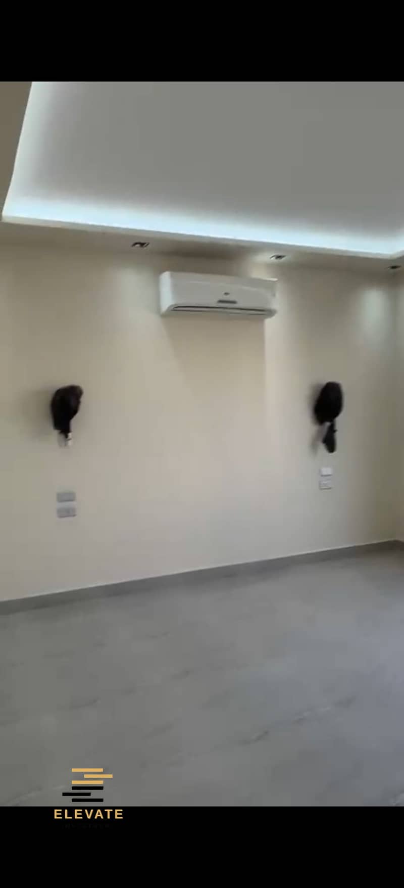 27 337589. jpg