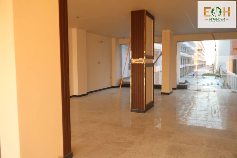 8 IMG_1561 - Copy. JPG