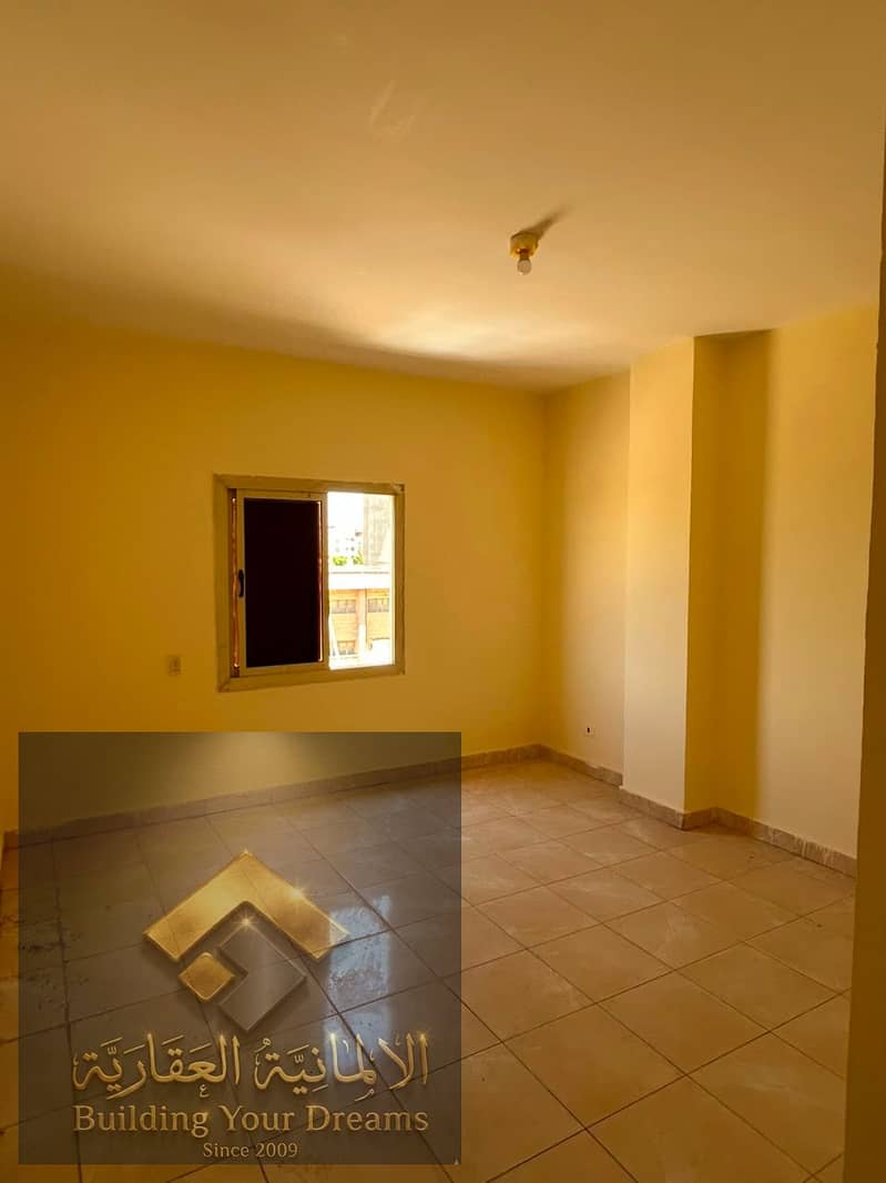 6 185880. jpg