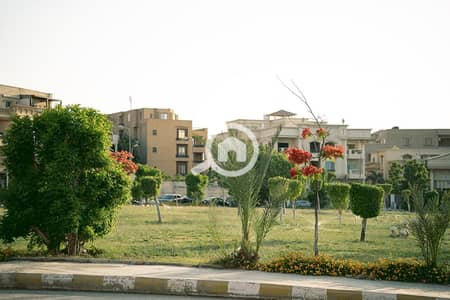 1 Bedroom Apartment for Rent in New Cairo, Cairo - 1003722362. jpg 1 Bedroom Apartment for Rent in New Cairo, Cairo - 1003722362. jpg