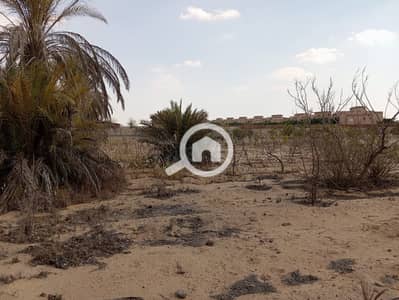 Land for Sale in 6th of October, Giza - WhatsApp Image 2026-07-20 at 18.23. 40. jpeg Land for Sale in 6th of October, Giza - WhatsApp Image 2026-07-20 at 18.23. 40. jpeg