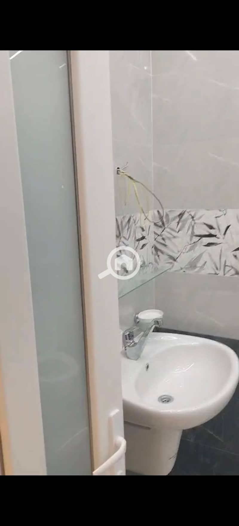 3 305590. jpg