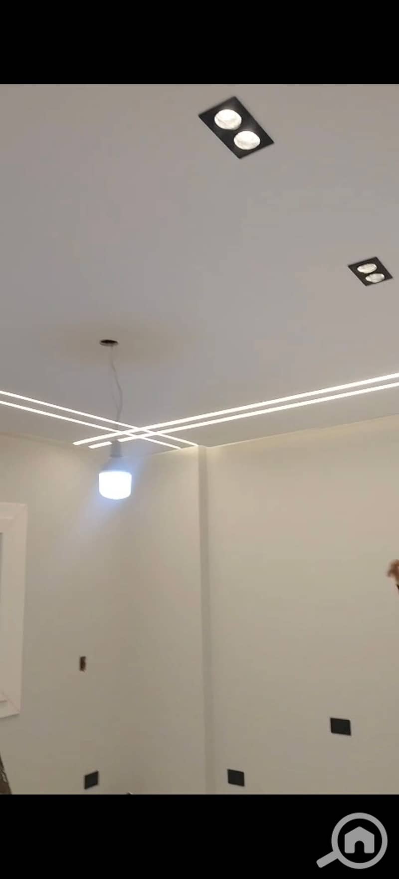 7 305588. jpg