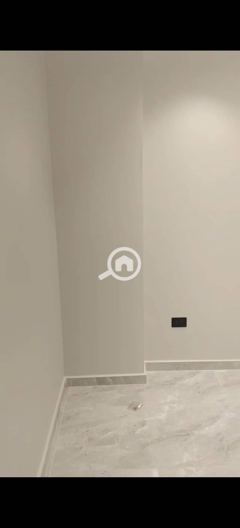 8 305581. jpg
