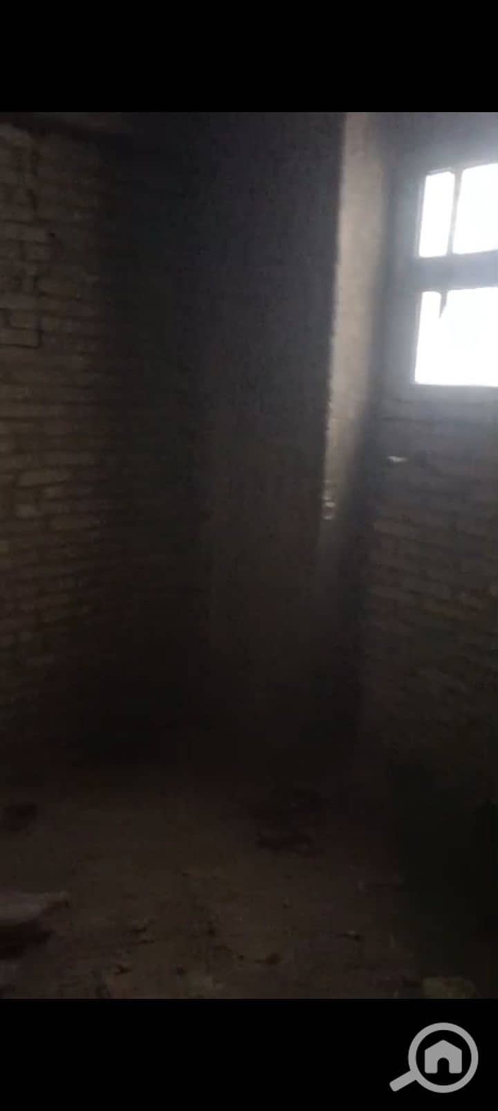 8 1000290715. jpg
