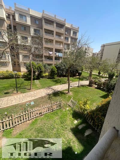 3 Bedroom Flat for Sale in Madinaty, Cairo - 1000124345. jpg 3 Bedroom Flat for Sale in Madinaty, Cairo - 1000124345. jpg