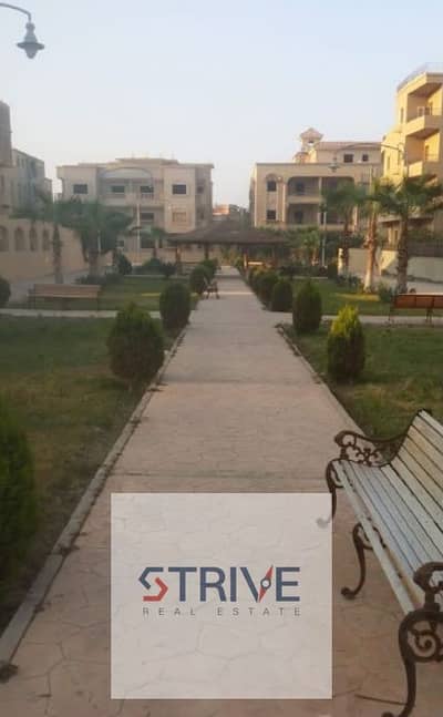 فلیٹ 3 غرف نوم للبيع في القاهرة الجديدة، القاهرة - WhatsApp Image 2026-07-21 at 12.36. 41 PM. jpeg فلیٹ 3 غرف نوم للبيع في القاهرة الجديدة، القاهرة - WhatsApp Image 2026-07-21 at 12.36. 41 PM. jpeg