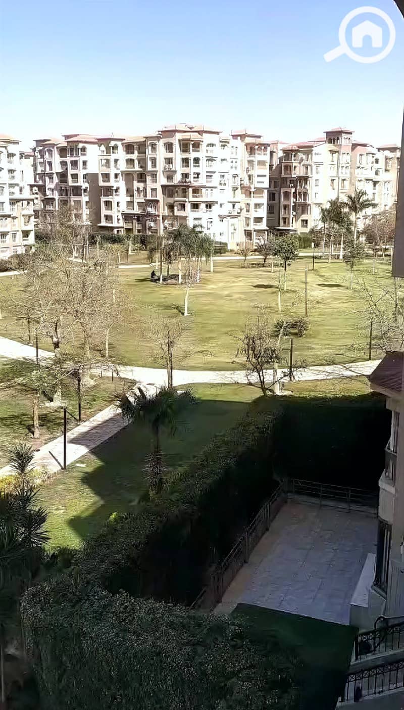 7 7. jpg