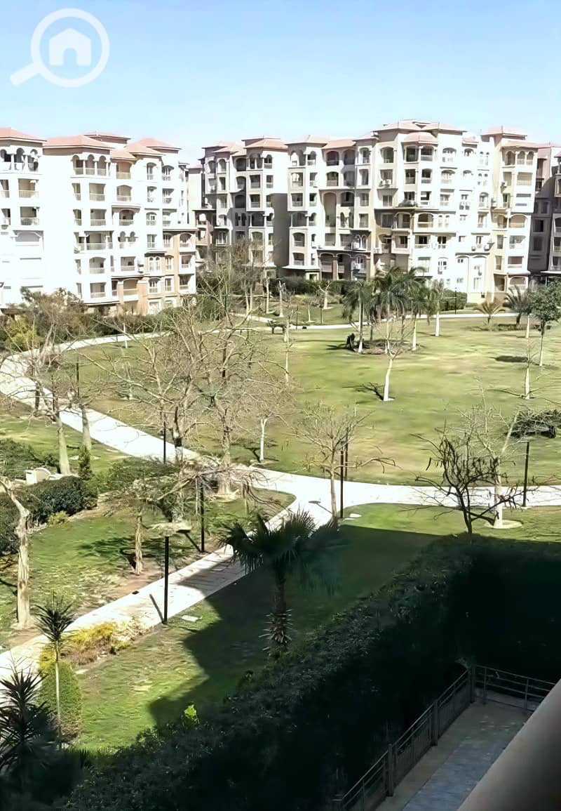8 8. jpg