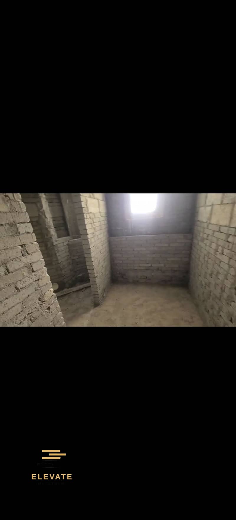 2 339303. jpg