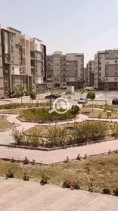 3 Bedroom Flat for Sale in Badr City, Cairo - 5978593686218018306. jpg 3 Bedroom Flat for Sale in Badr City, Cairo - 5978593686218018306. jpg