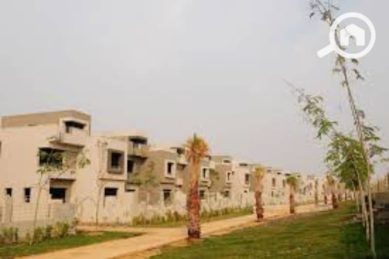16 images (8). jfif. jpg