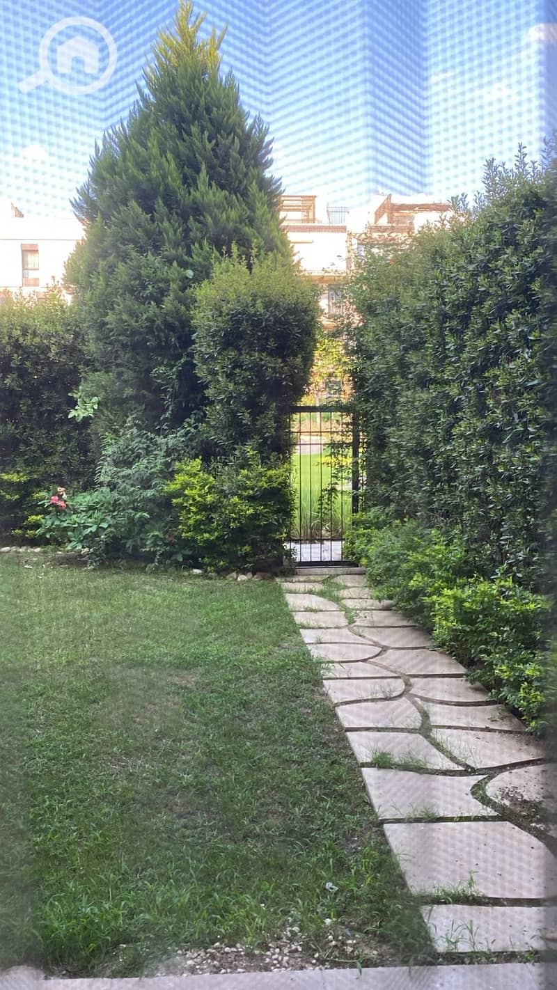 6 392782. jpg