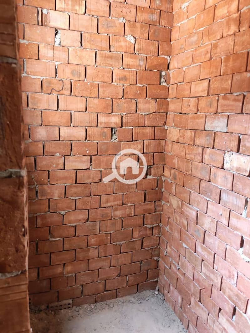 12 5976827784644464431. jpg