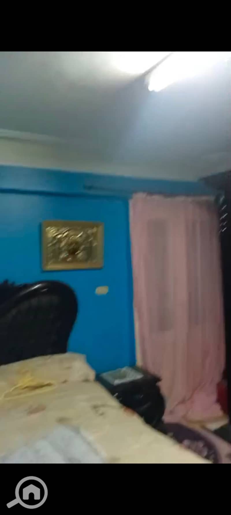 2 52364. jpg