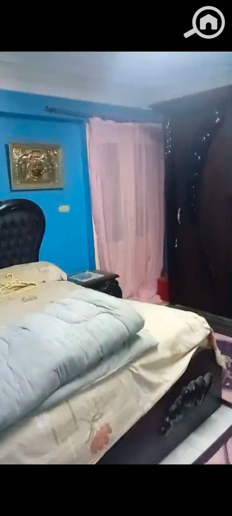 5 52363. jpg