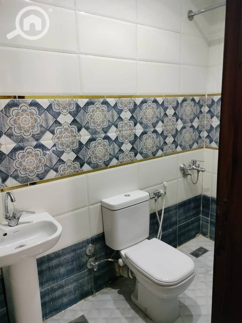 5 392932. jpg