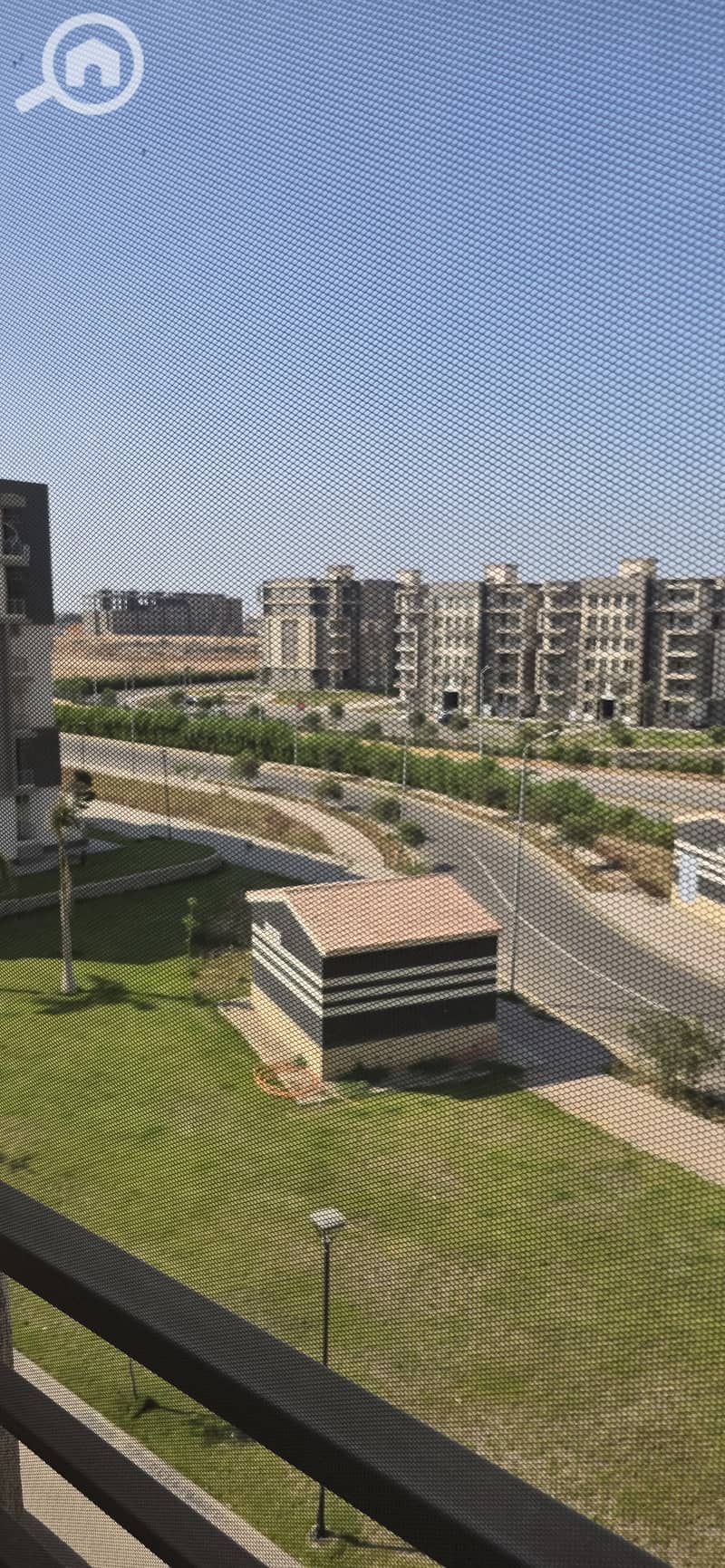 7 392949. jpg