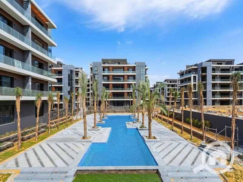 2 el-patio-oro-1-1. jpg