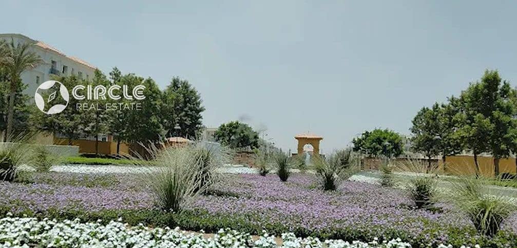 7 Image29. jpg