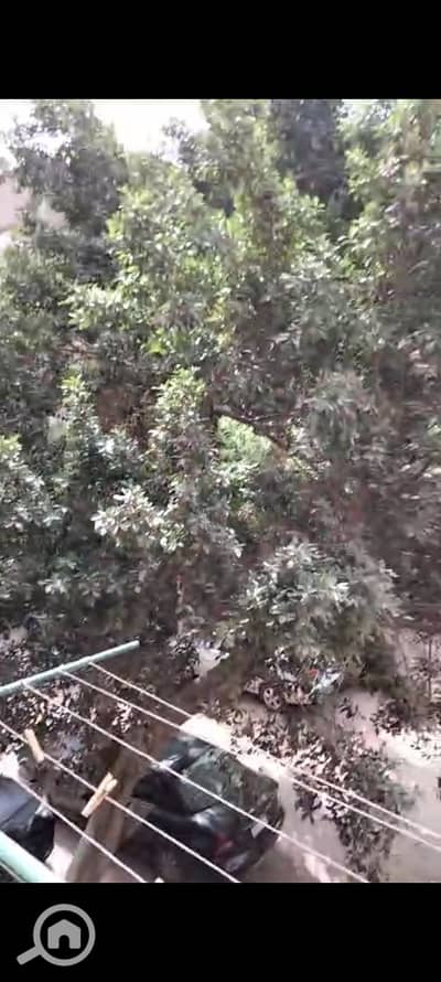 فلیٹ 2 غرفة نوم للايجار في المعادي، القاهرة - 1000392432. jpg