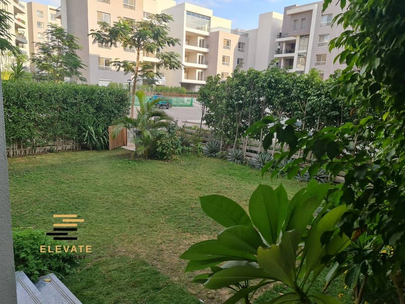 1001156259. jpg 1001156259. jpg
