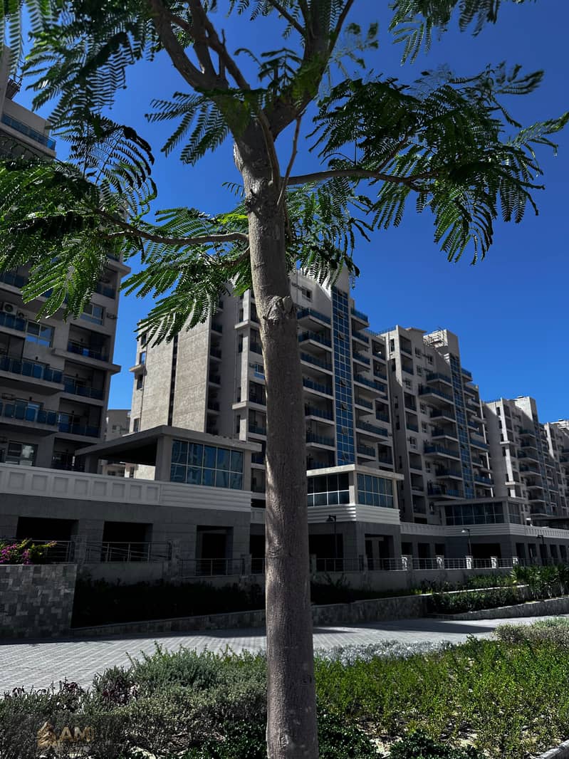 2 Downtown -1. jpg
