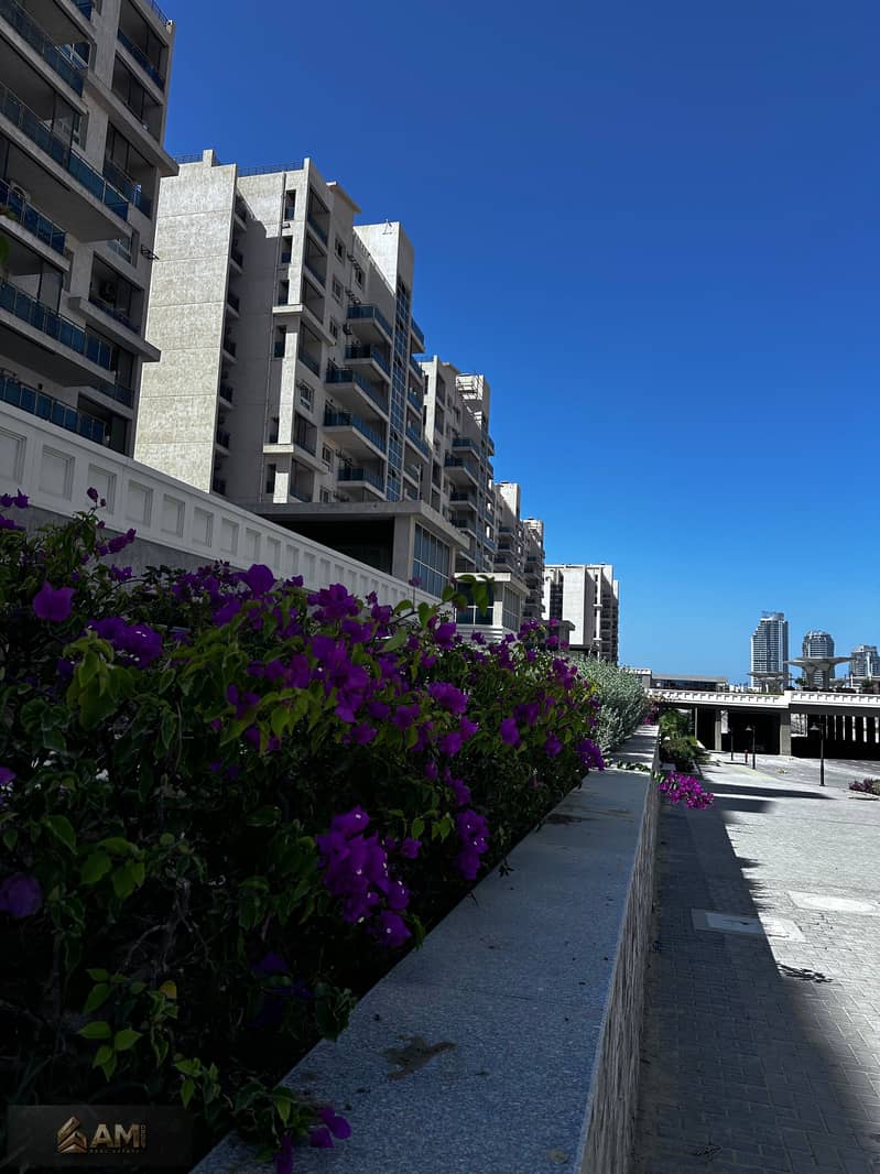 3 Downtown -2. jpg