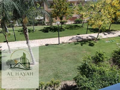 شقة 3 غرف نوم للبيع في مدينتي، القاهرة - 1000963543. jpg شقة 3 غرف نوم للبيع في مدينتي، القاهرة - 1000963543. jpg