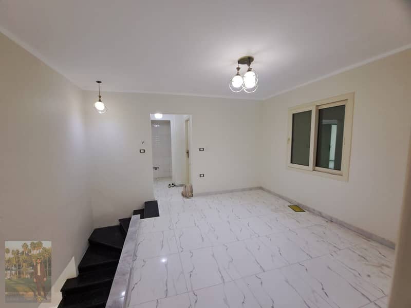 20 1000297587. jpg