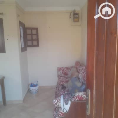 1 Bedroom Flat for Rent in Maadi, Cairo - 1000463200. jpg